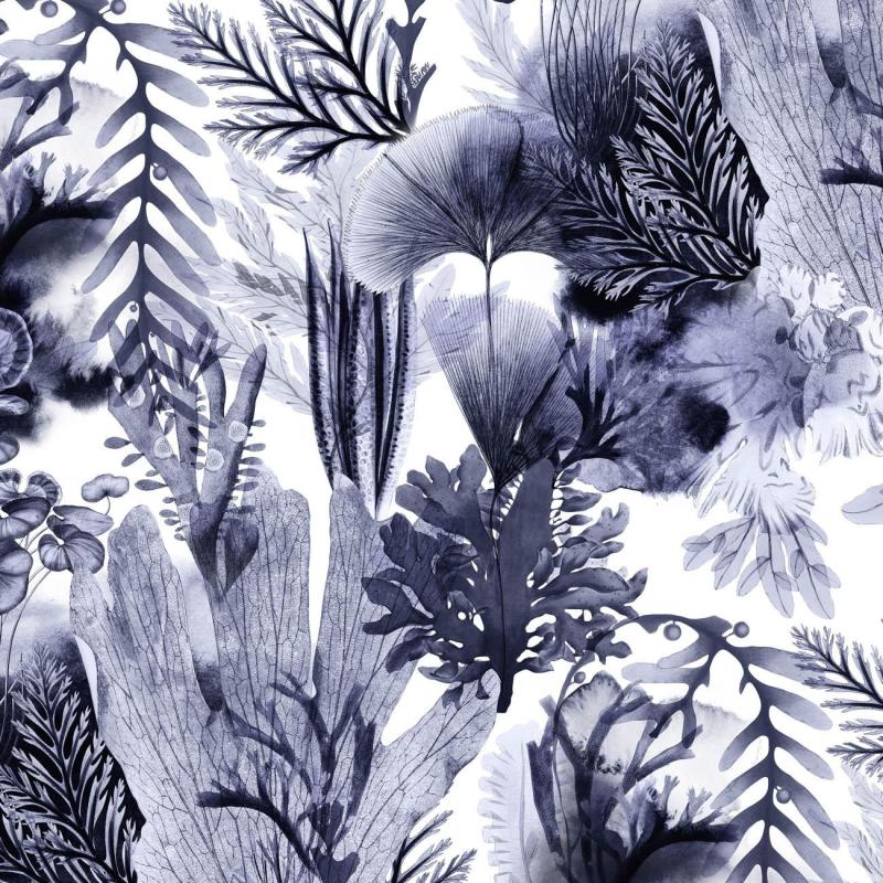 AQUATIC PLANTS  1